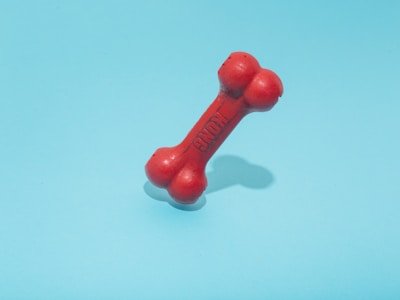 Pet Toys